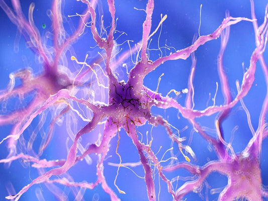 damaged nerves