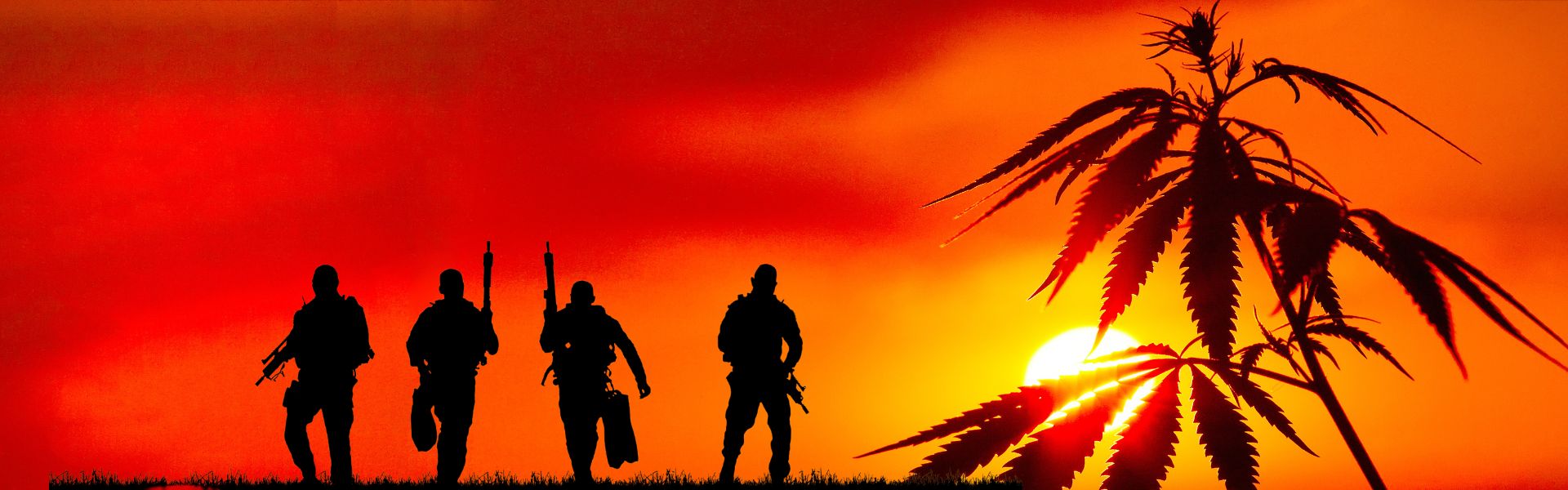 A team of Navy SEALs stands in a field of hemp plants at sunset